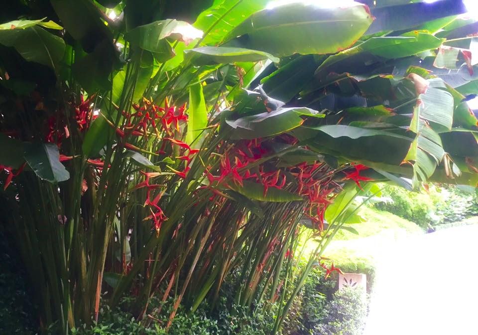 Phuket, Thailand photo 5