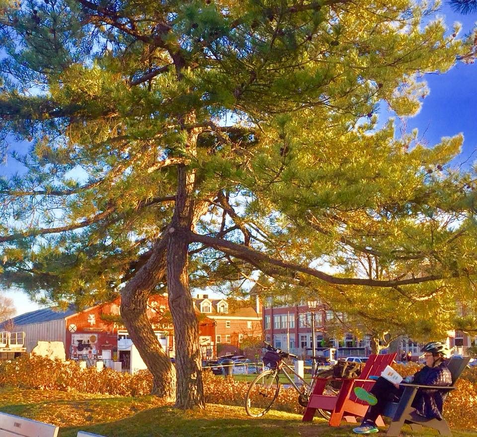 Portland, Maine photo 4