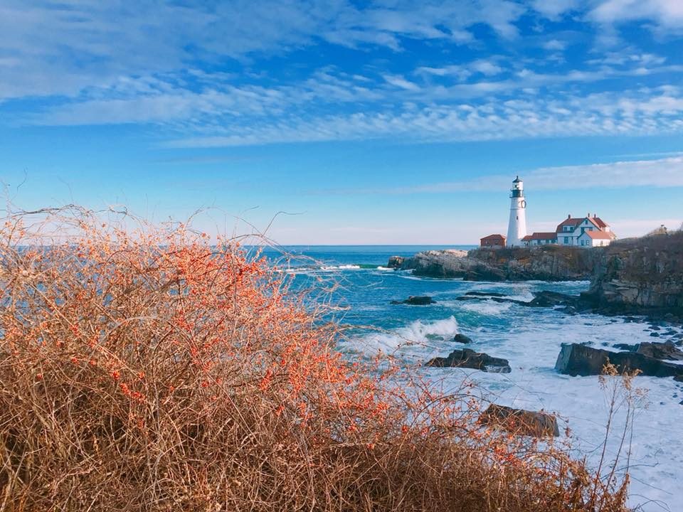 Portland, Maine photo 8
