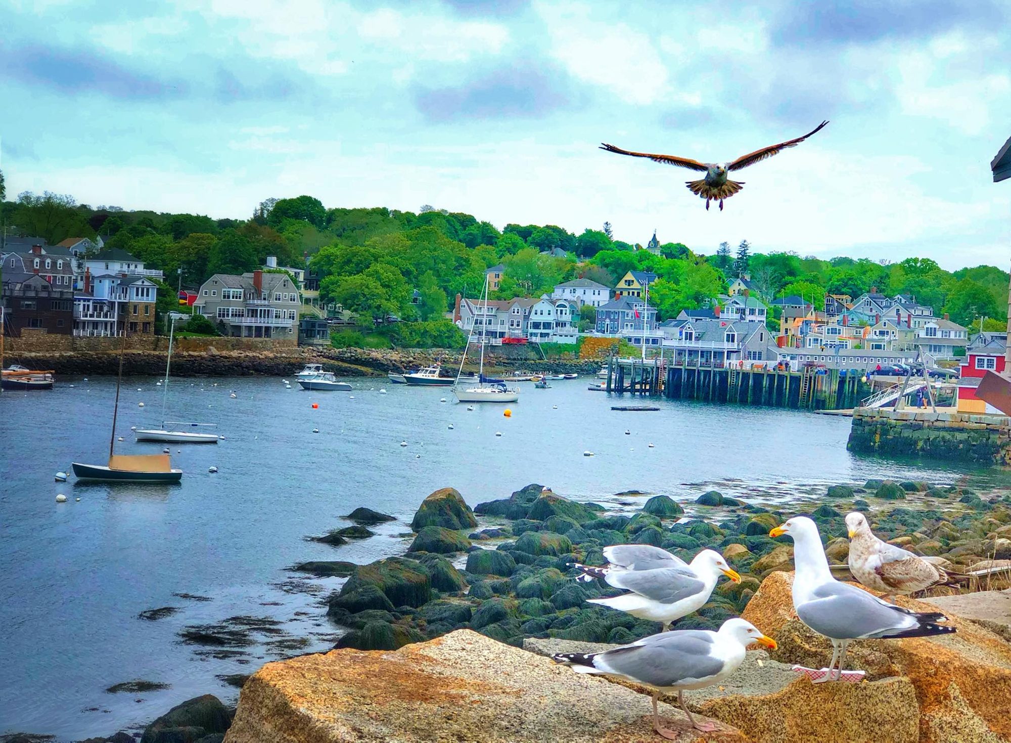 Rockport, Massachusetts photo 5