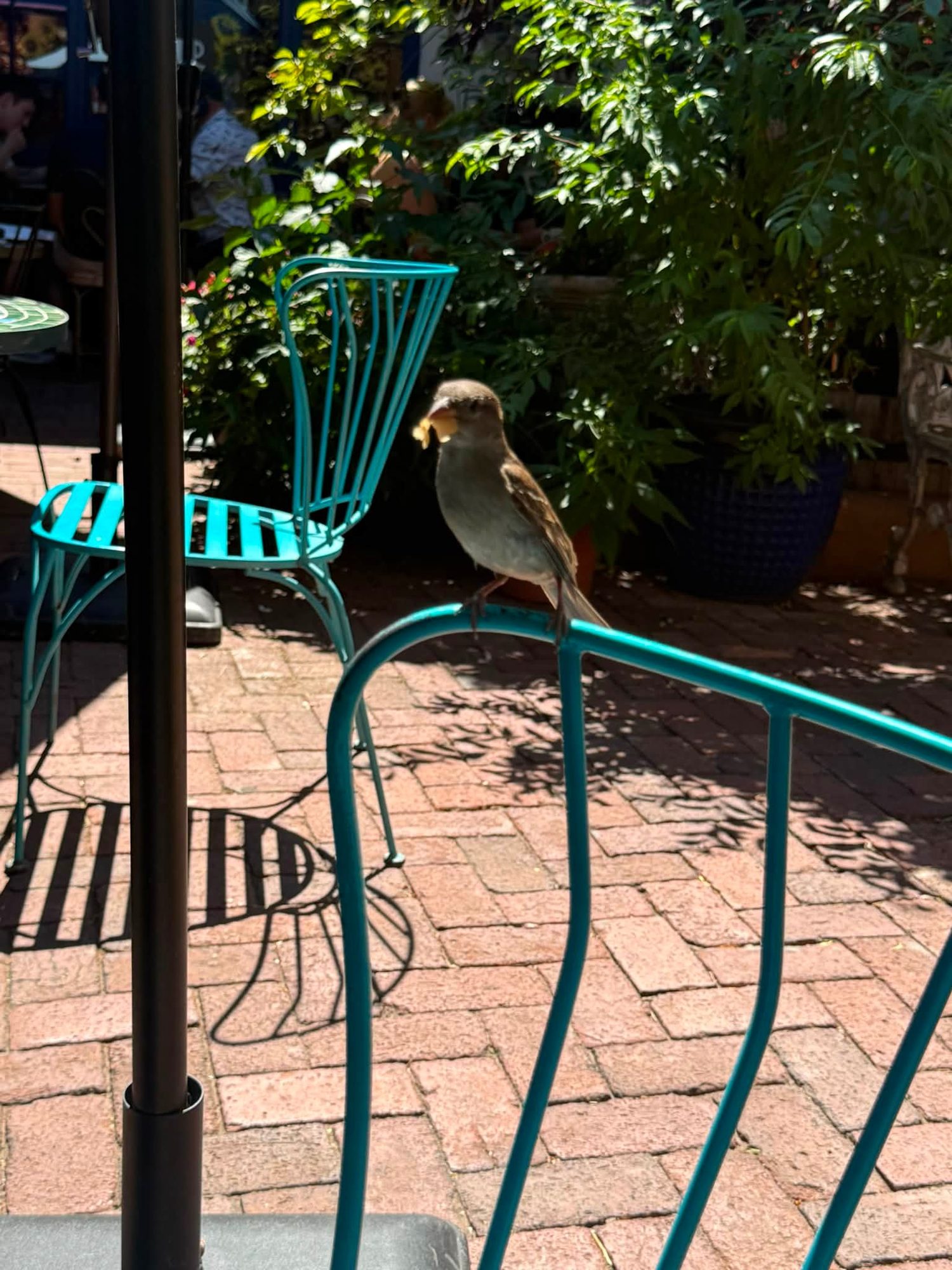 Santa Fe, New Mexico photo 6