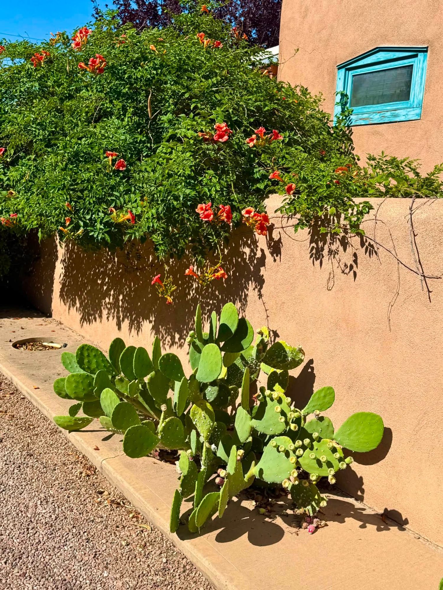Santa Fe, New Mexico photo 10
