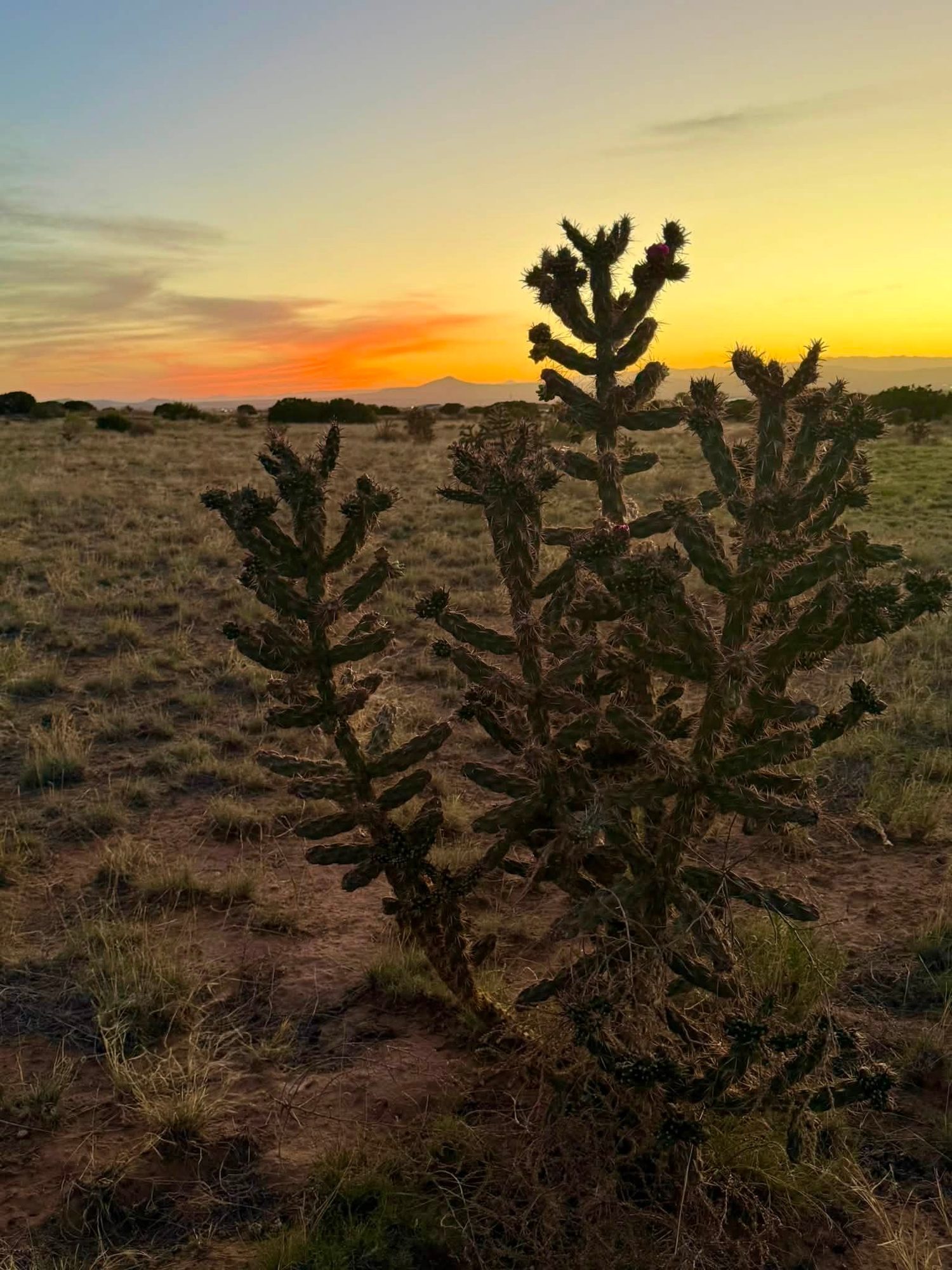 Santa Fe, New Mexico photo 46