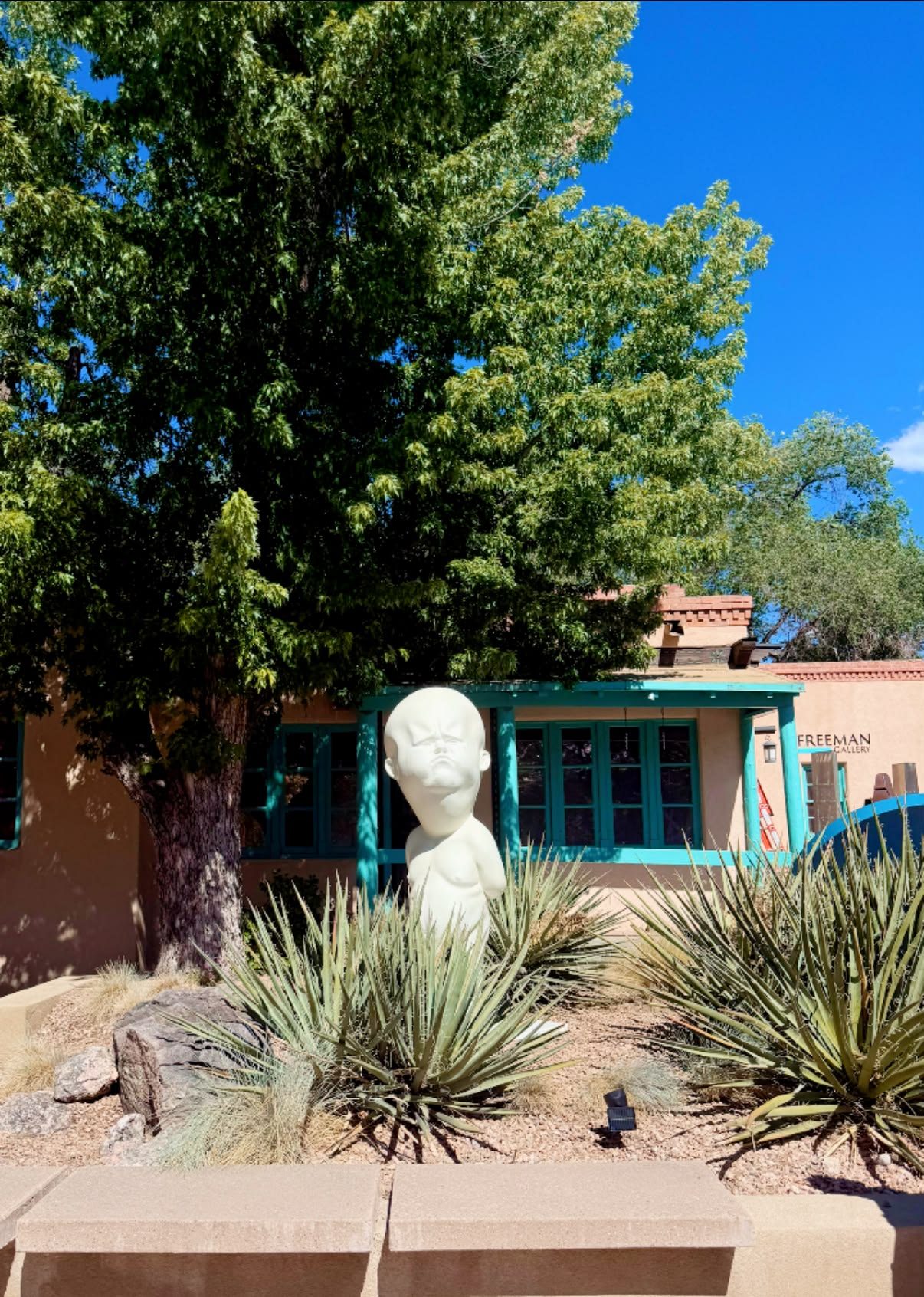 Santa Fe, New Mexico photo 53