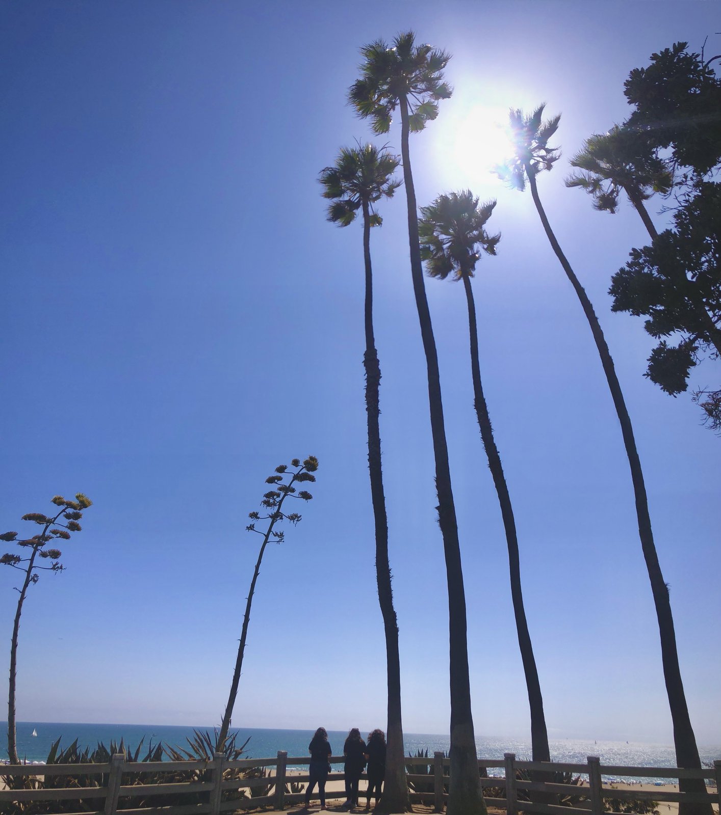 Santa Monica, California photo 5