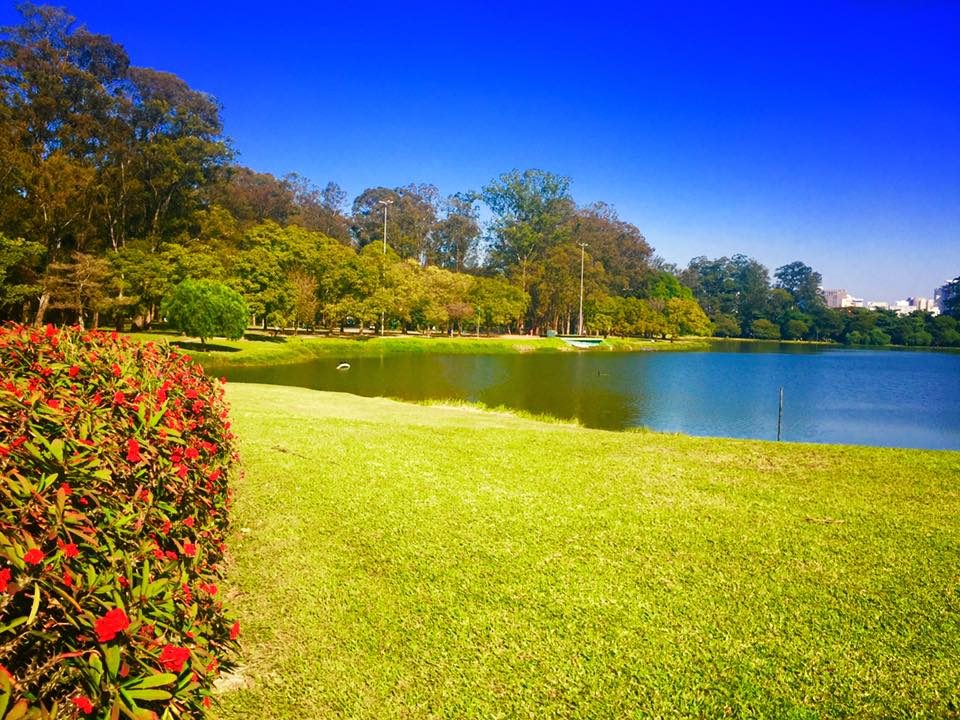 Sao Paulo, Brazil photo 2