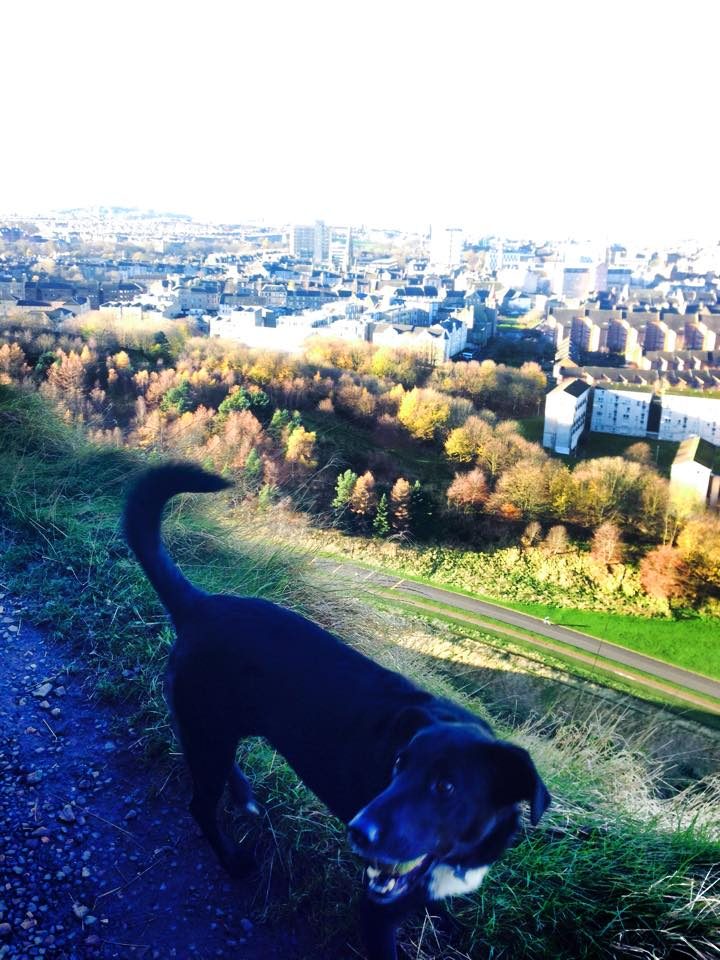 Aberdeen & the Scottish Highlands, Scotland photo 19