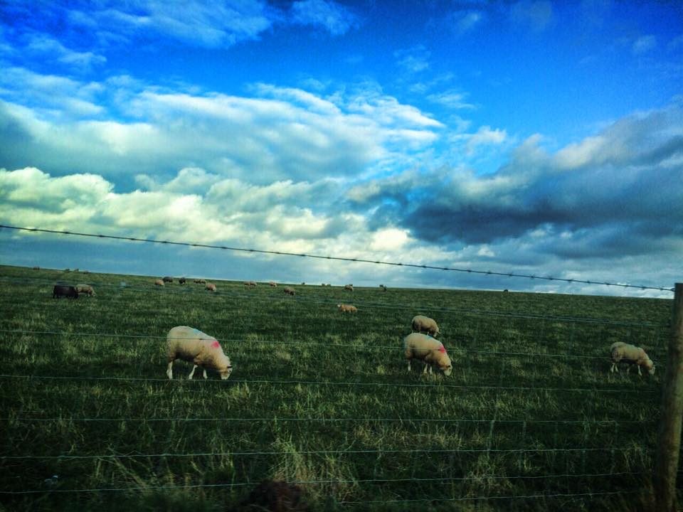 Aberdeen & the Scottish Highlands, Scotland photo 50