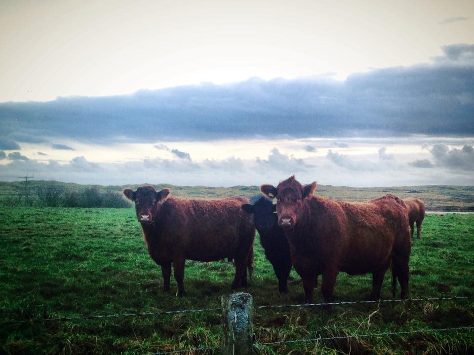 Aberdeen & the Scottish Highlands, Scotland photo 63