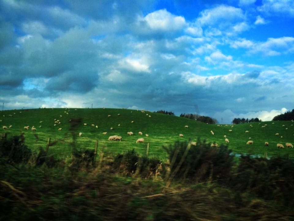 Aberdeen & the Scottish Highlands, Scotland photo 65