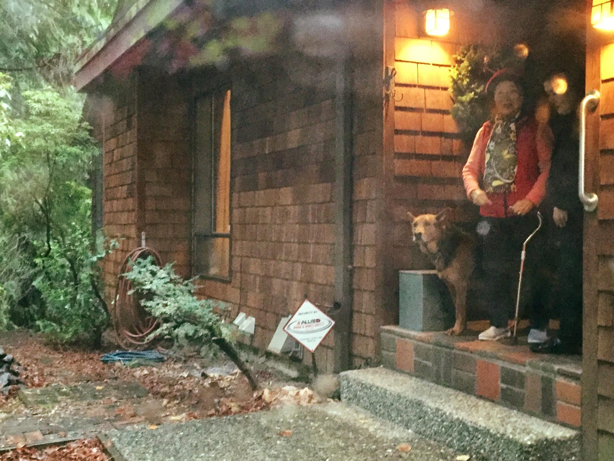 Seattle, USA photo 3