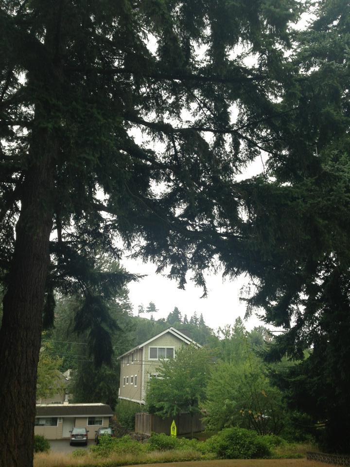 Seattle, USA photo 14