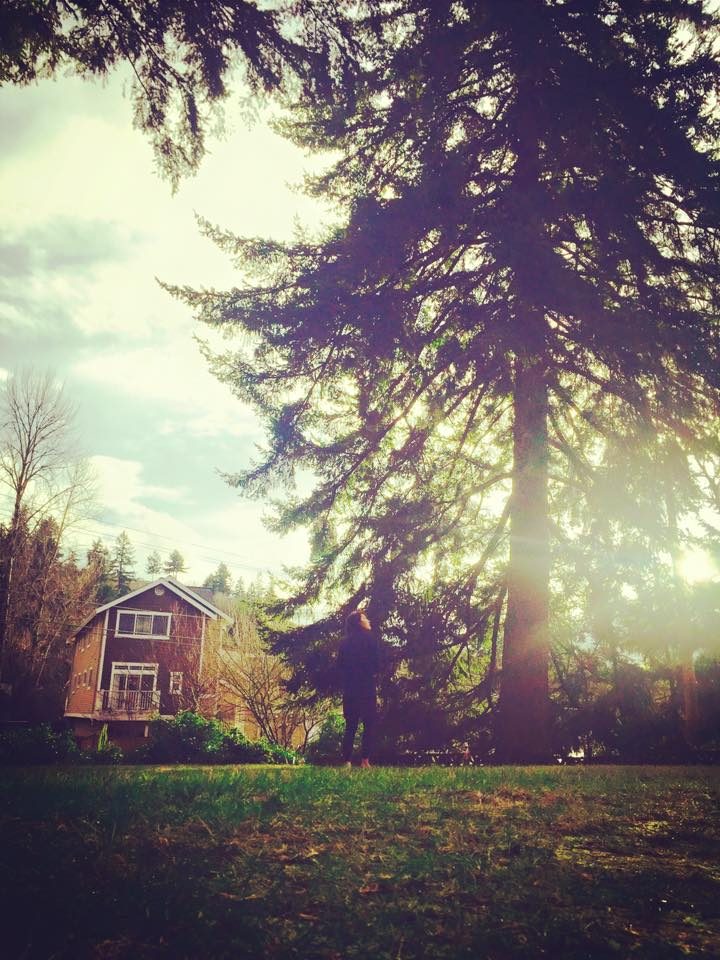 Seattle, USA photo 17