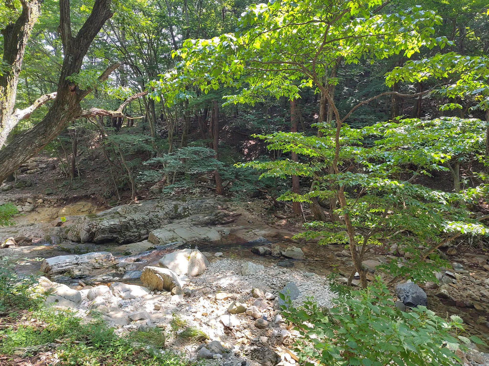 Seoul, South Korea photo 42