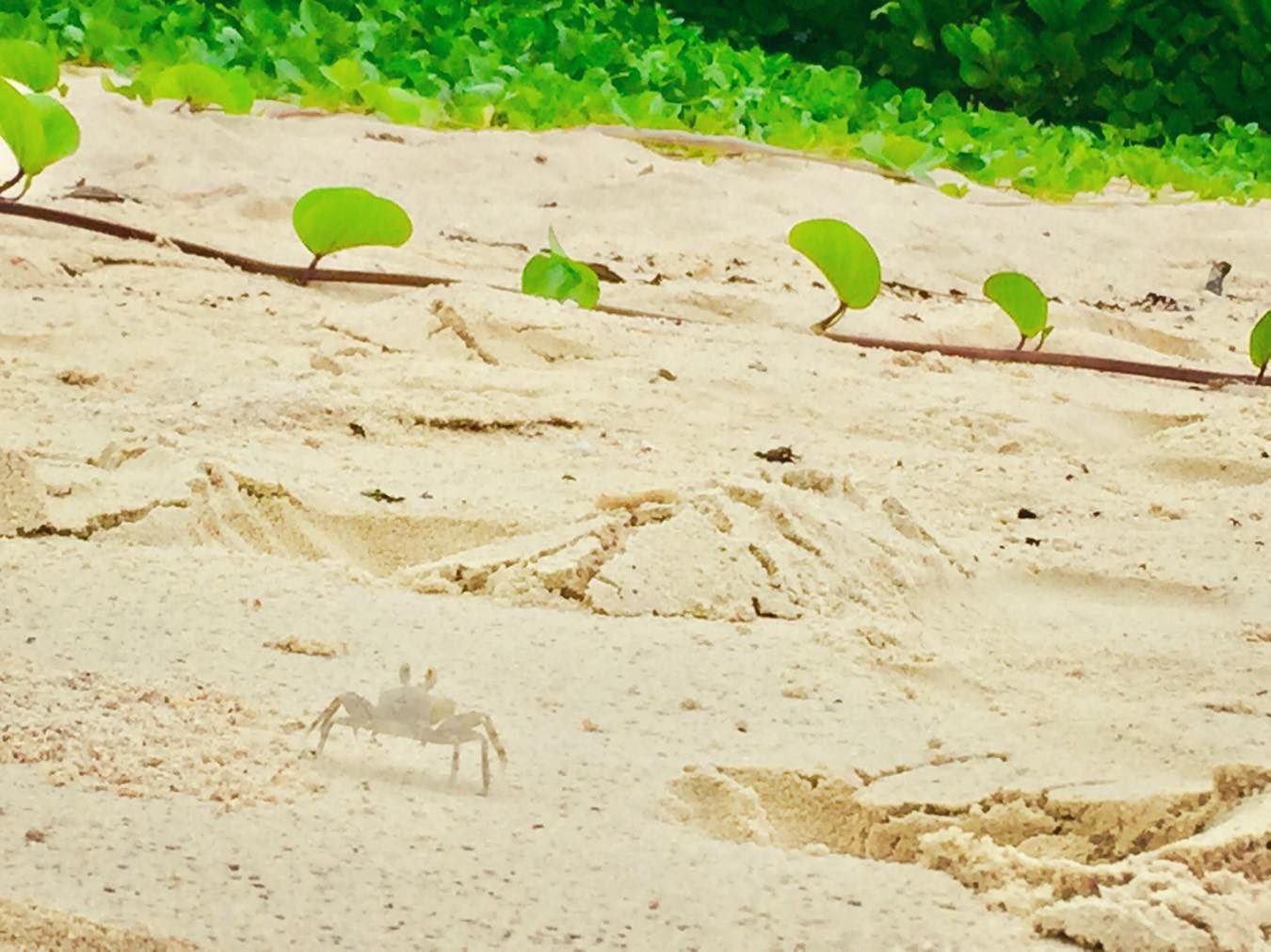Seychelles photo 13
