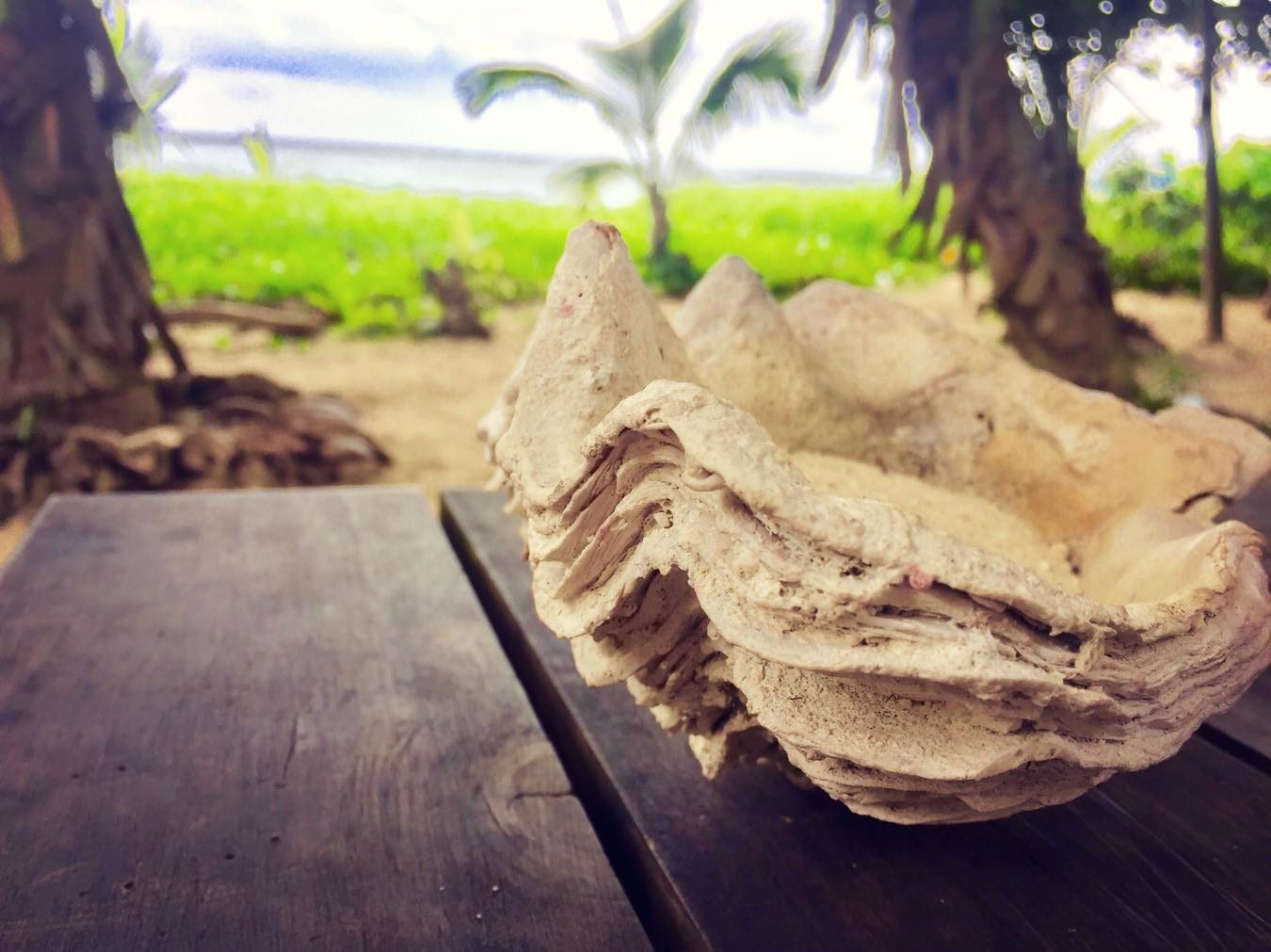 Seychelles photo 17