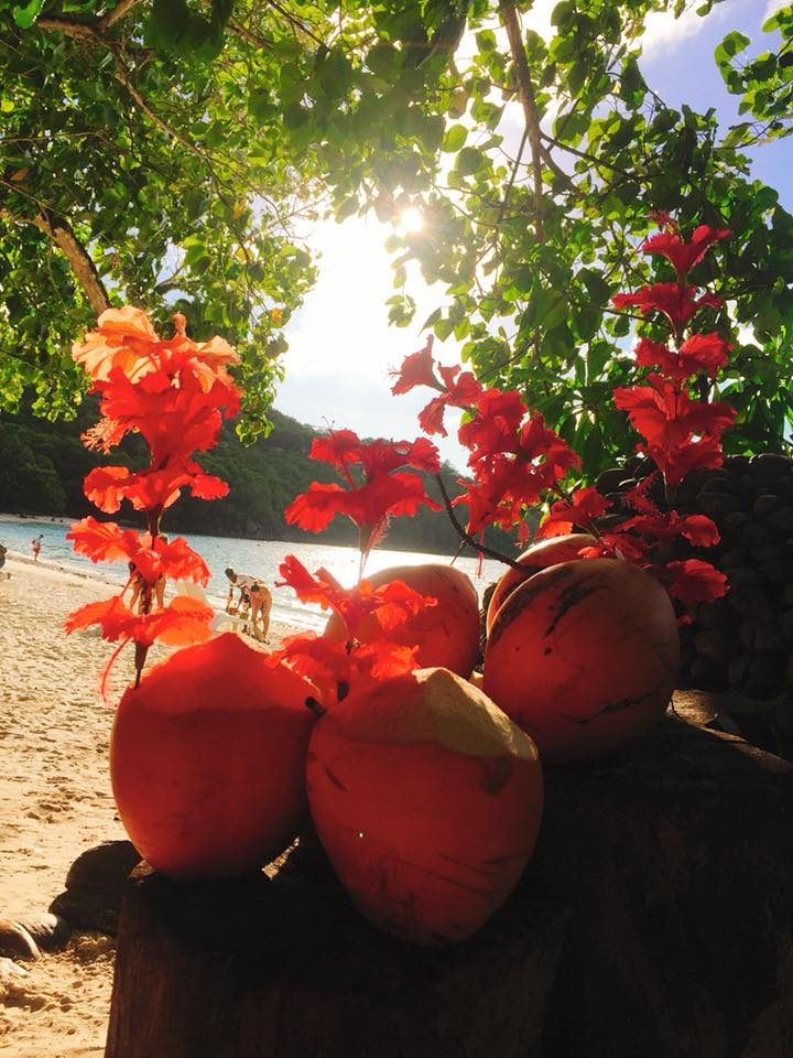 Seychelles photo 19