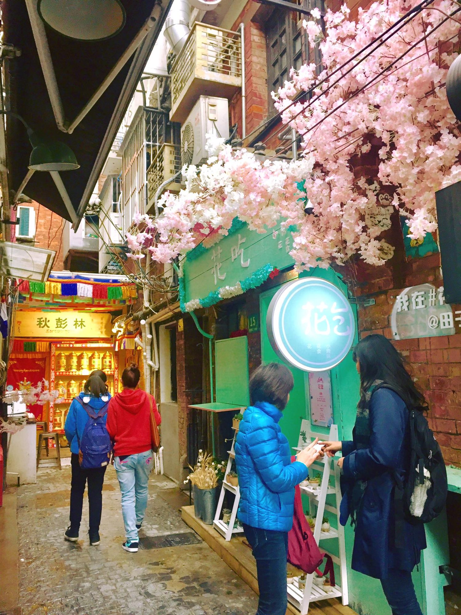 Shanghai, China photo 6