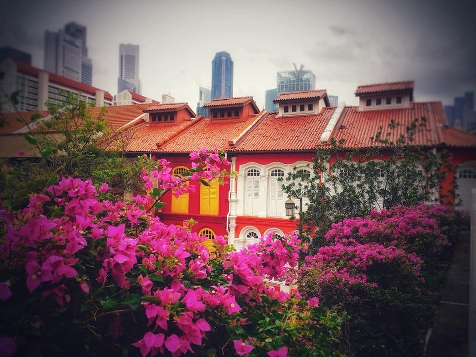 Singapore photo 4