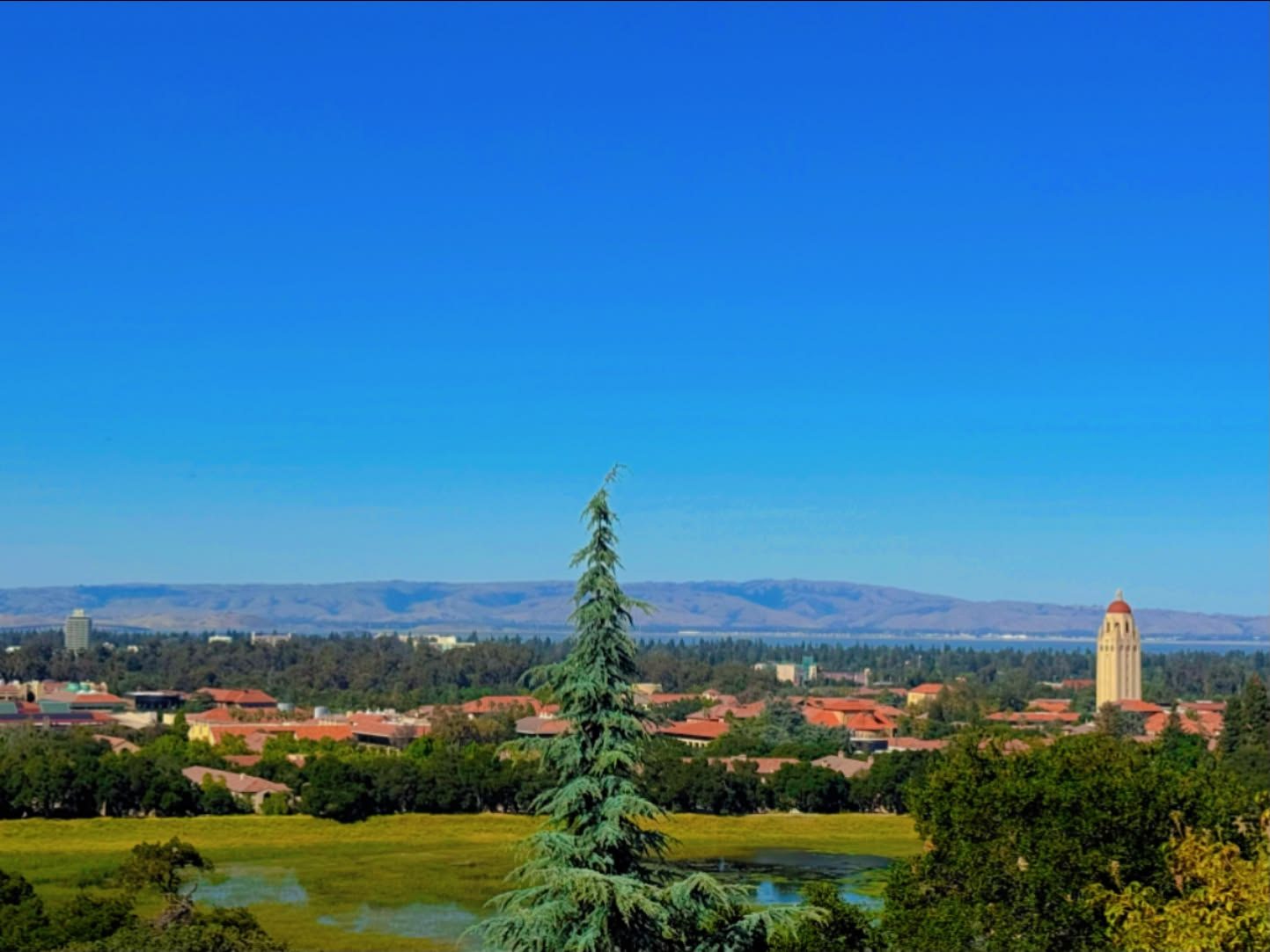 Stanford & Palo Alto, California photo 31