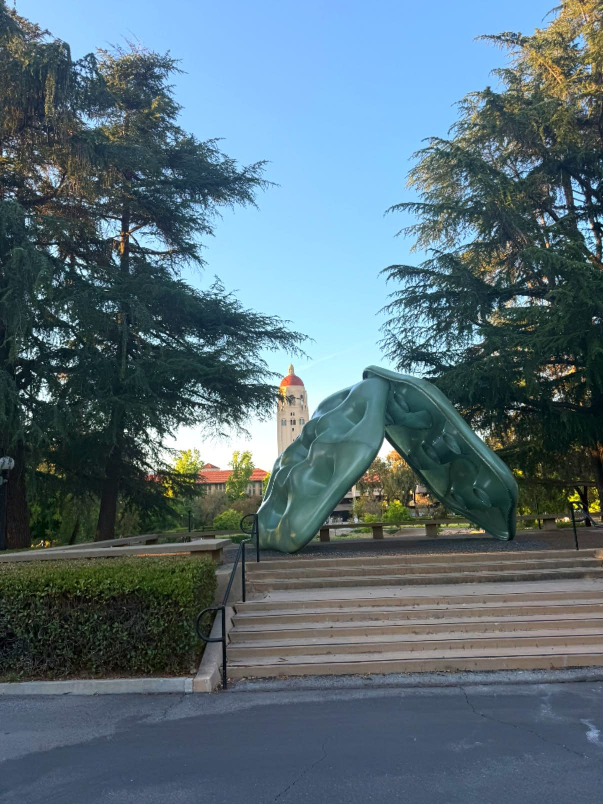 Stanford & Palo Alto, California photo 39