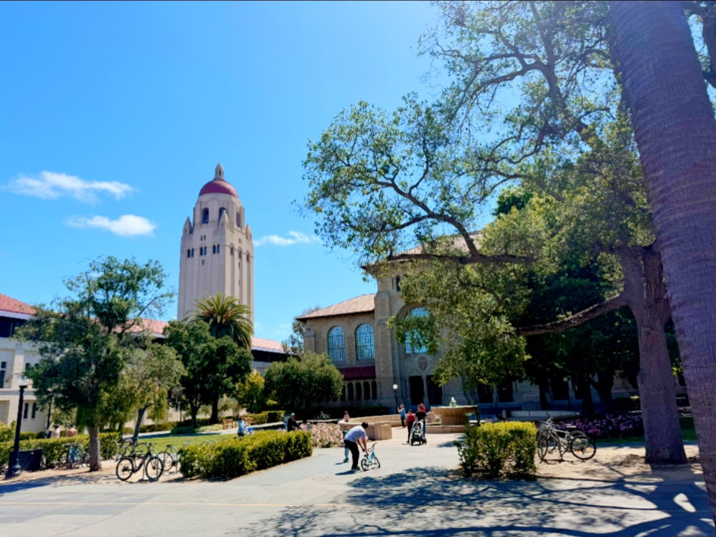 Stanford & Palo Alto, California photo 41
