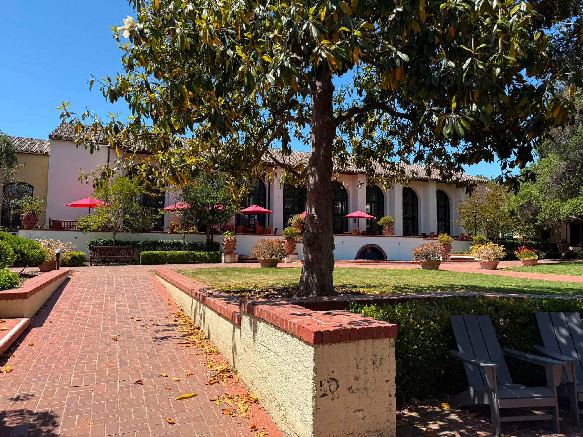 Stanford & Palo Alto, California photo 43