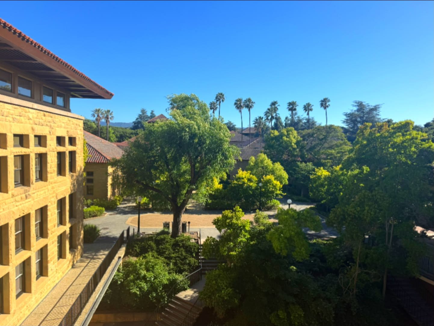 Stanford & Palo Alto, California photo 50