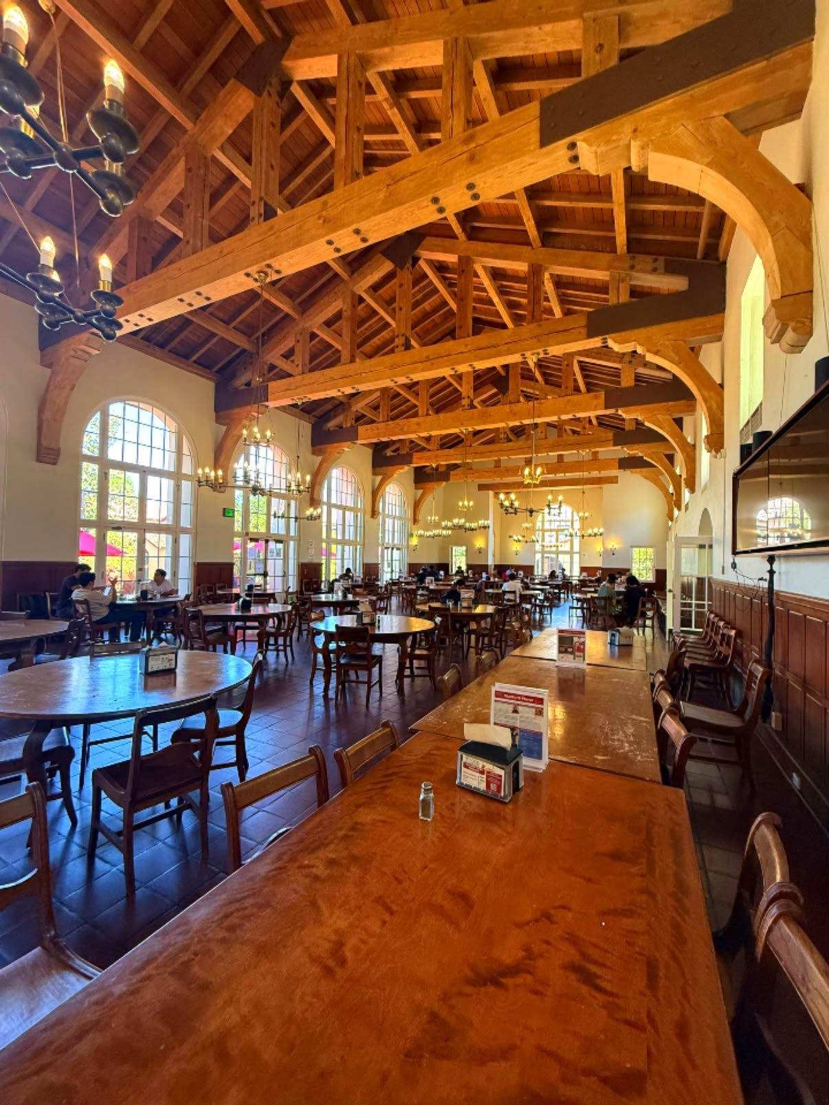 Stanford & Palo Alto, California photo 51