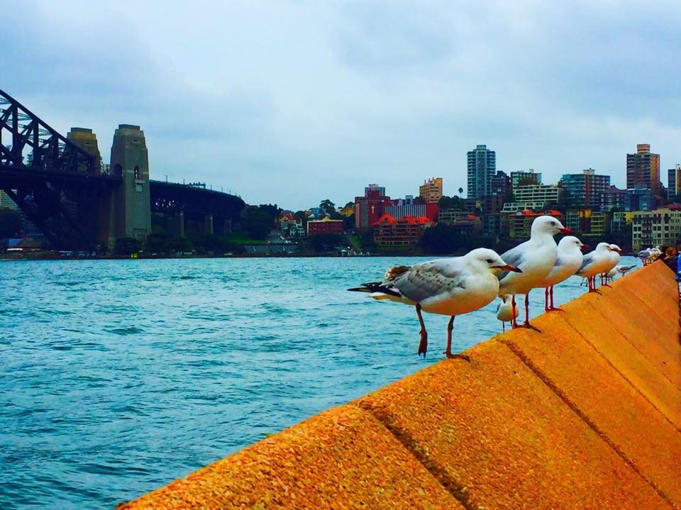 Sydney, Australia photo 14