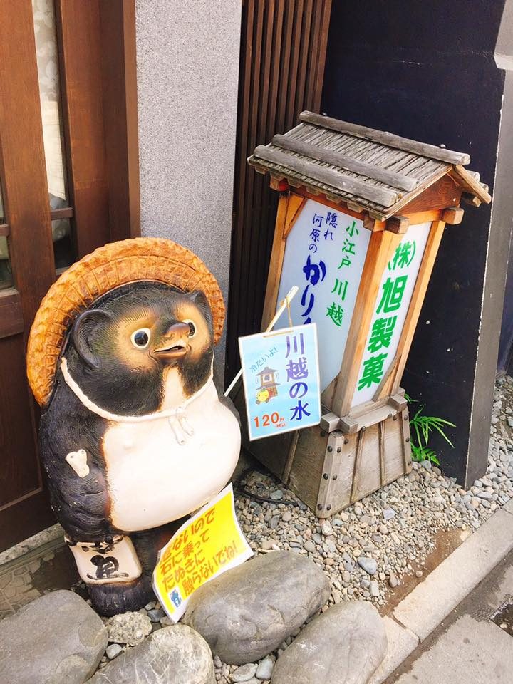 Tokyo, Japan photo 15