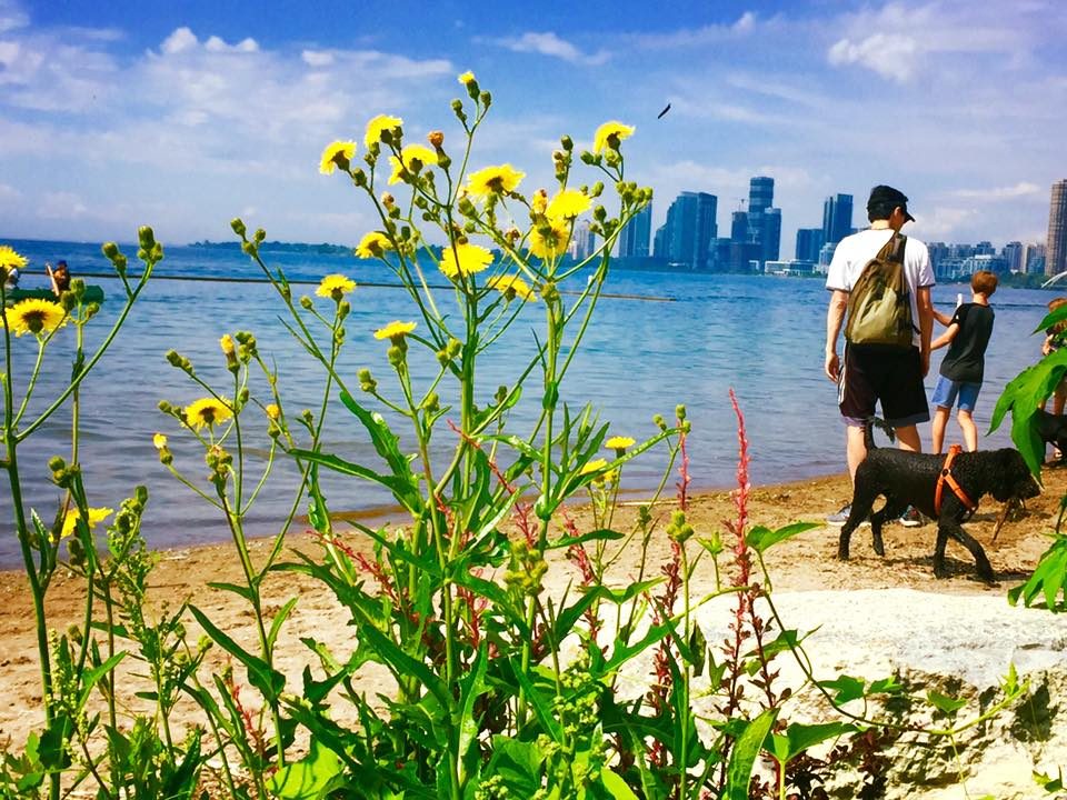 Toronto, Canada photo 6