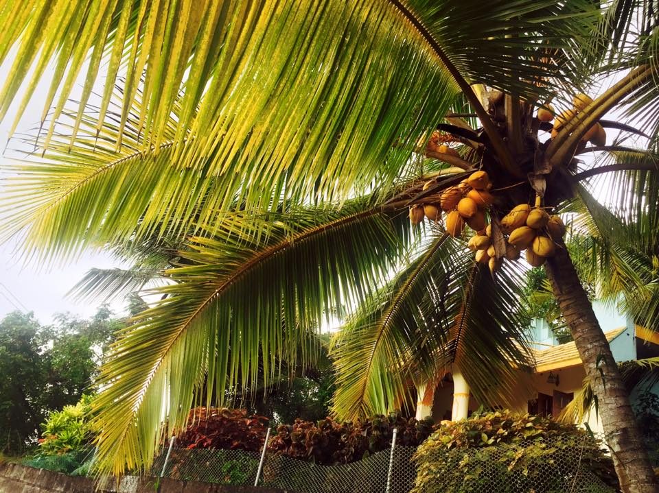 Thiruvananthapuram (Trivandrum), India