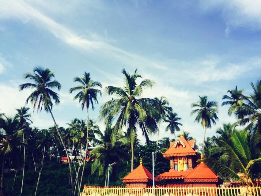 Thiruvananthapuram (Trivandrum), India photo 5