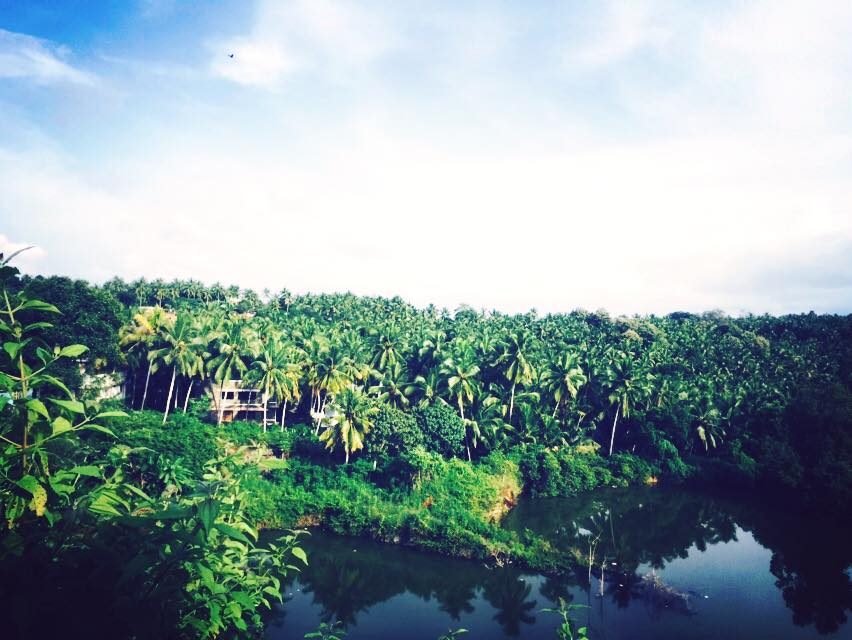 Thiruvananthapuram (Trivandrum), India photo 6