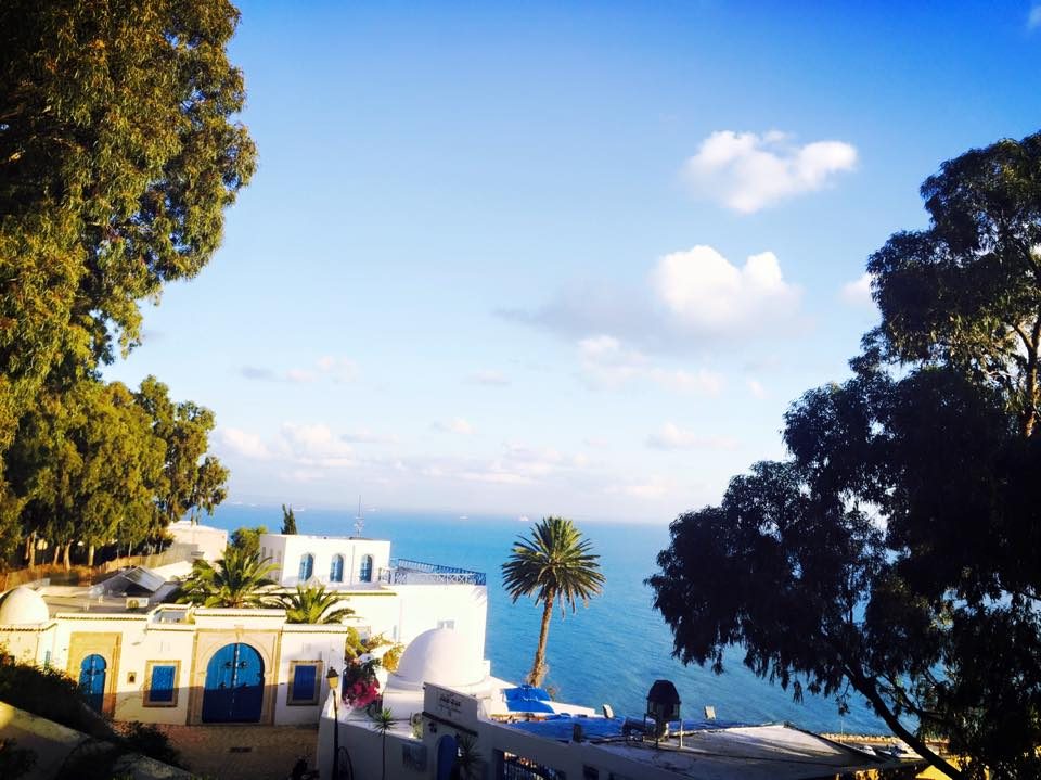 Sidi Bou Said, Tunisia photo 3