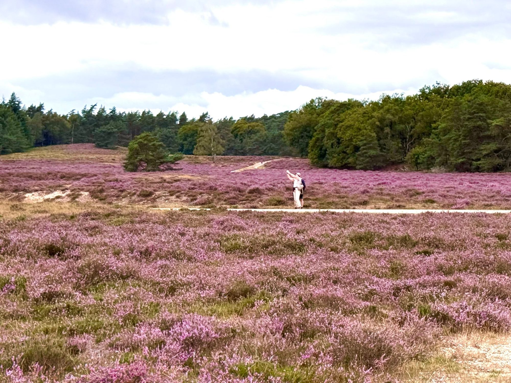 Veluwe, Netherlands photo 3