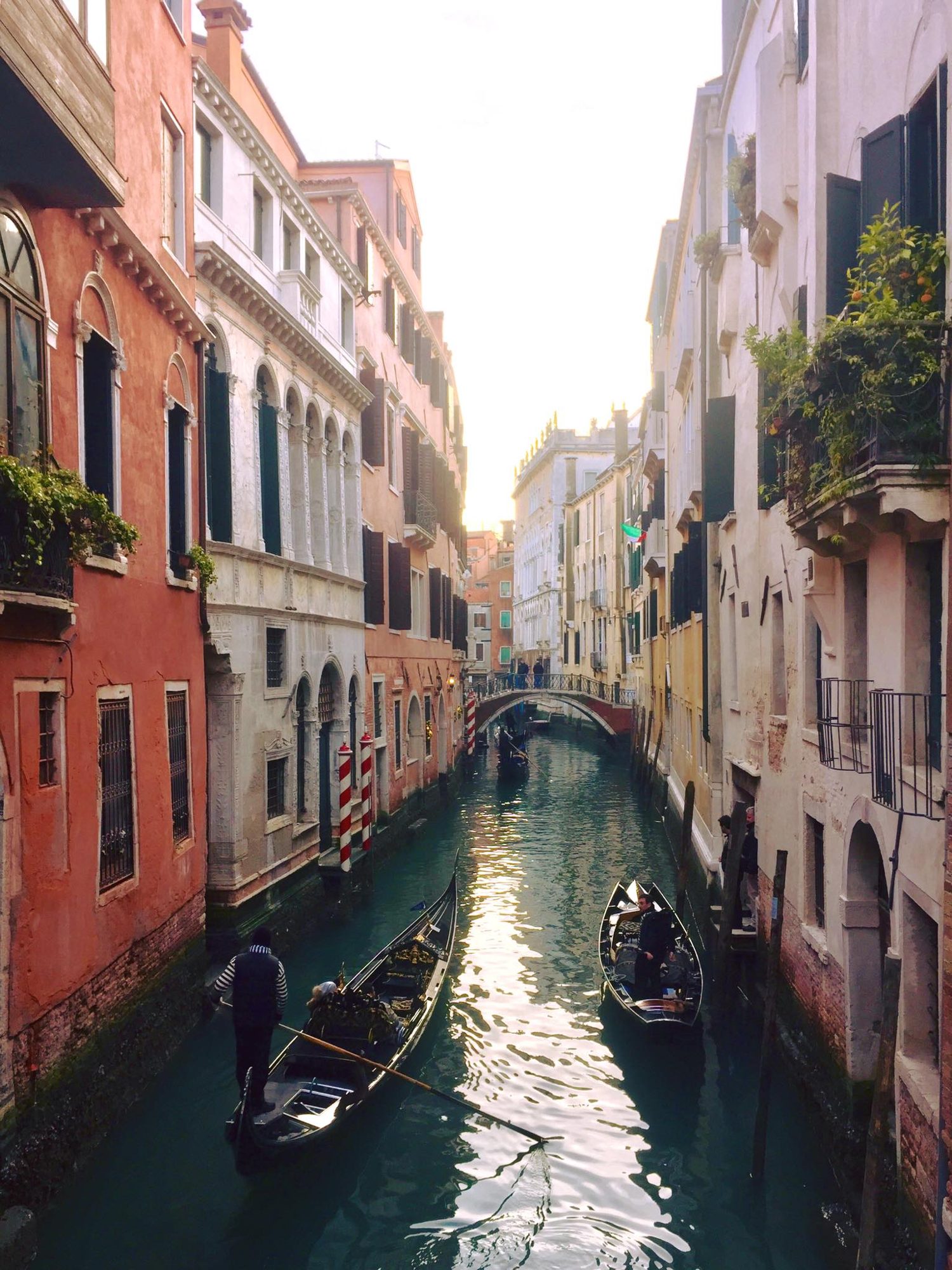 Venice, Italy photo 9