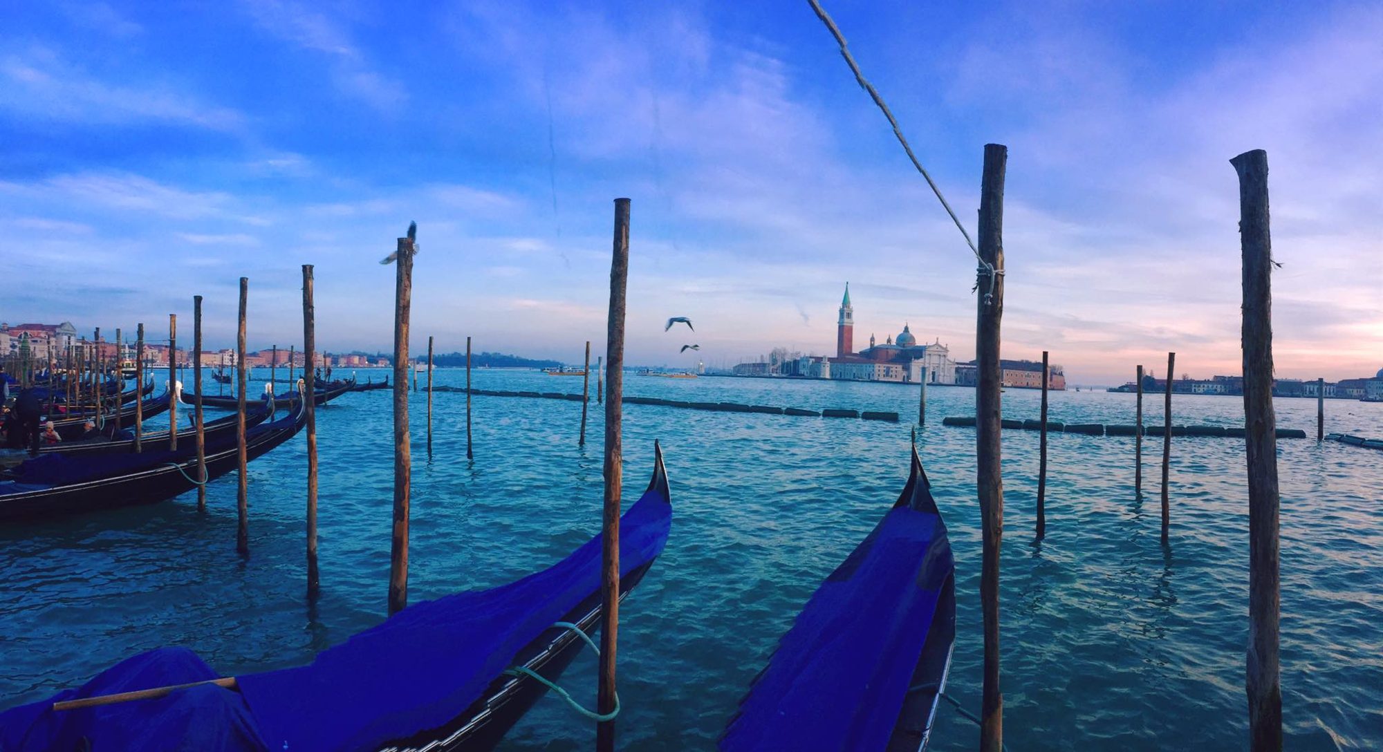 Venice, Italy photo 22