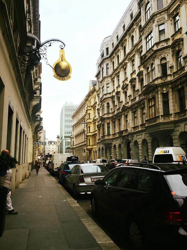 Vienna, Austria photo 8