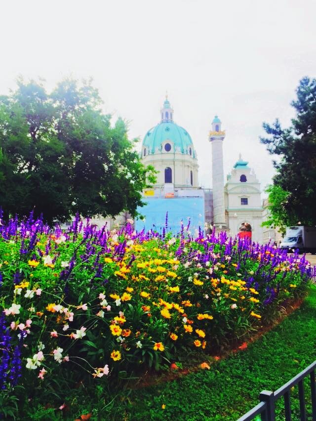 Vienna, Austria photo 10