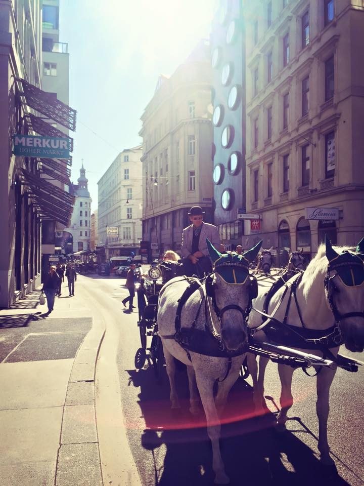 Vienna, Austria photo 13