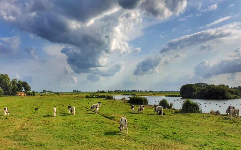 Volendam & Marken, Netherlands photo 34