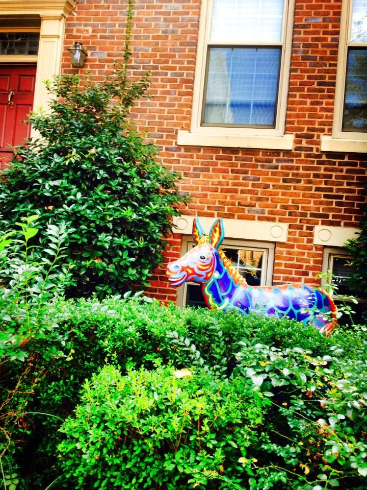 Washington, D.C. photo 1