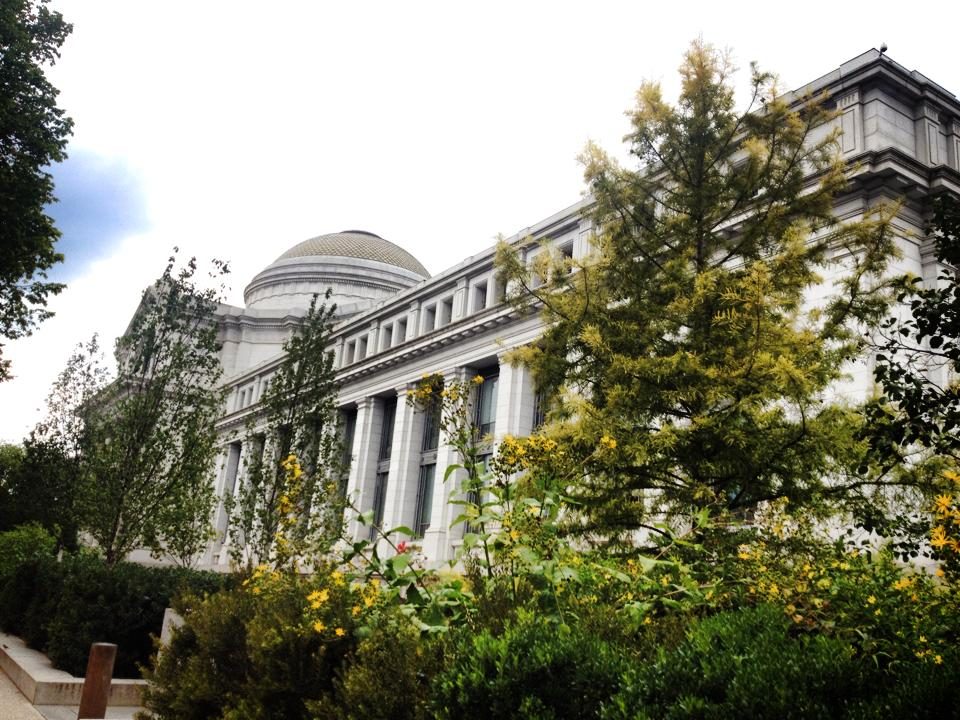 Washington, D.C. photo 4