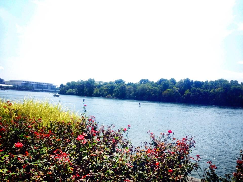 Washington, D.C. photo 14