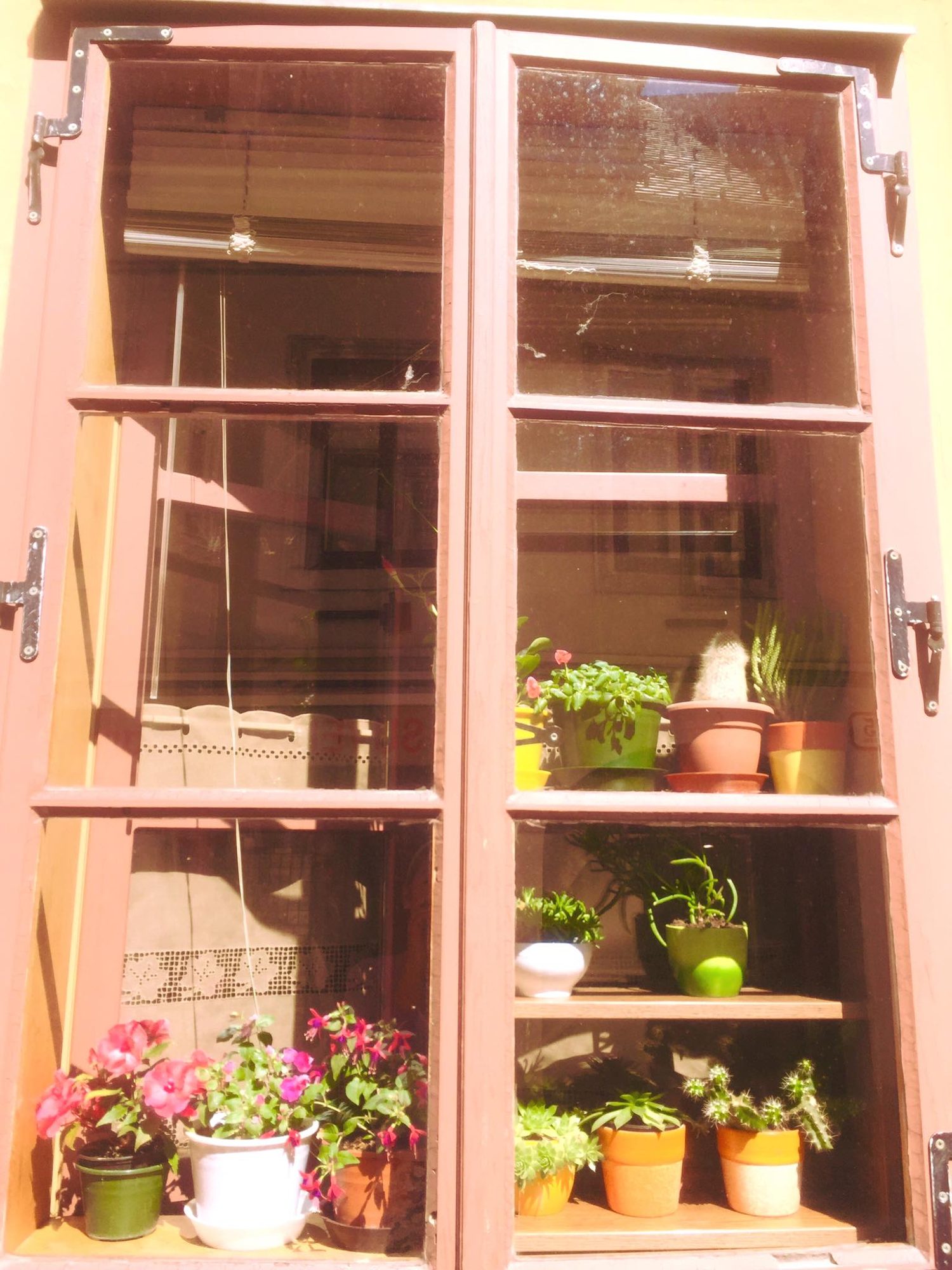 Zagreb, Croatia photo 28