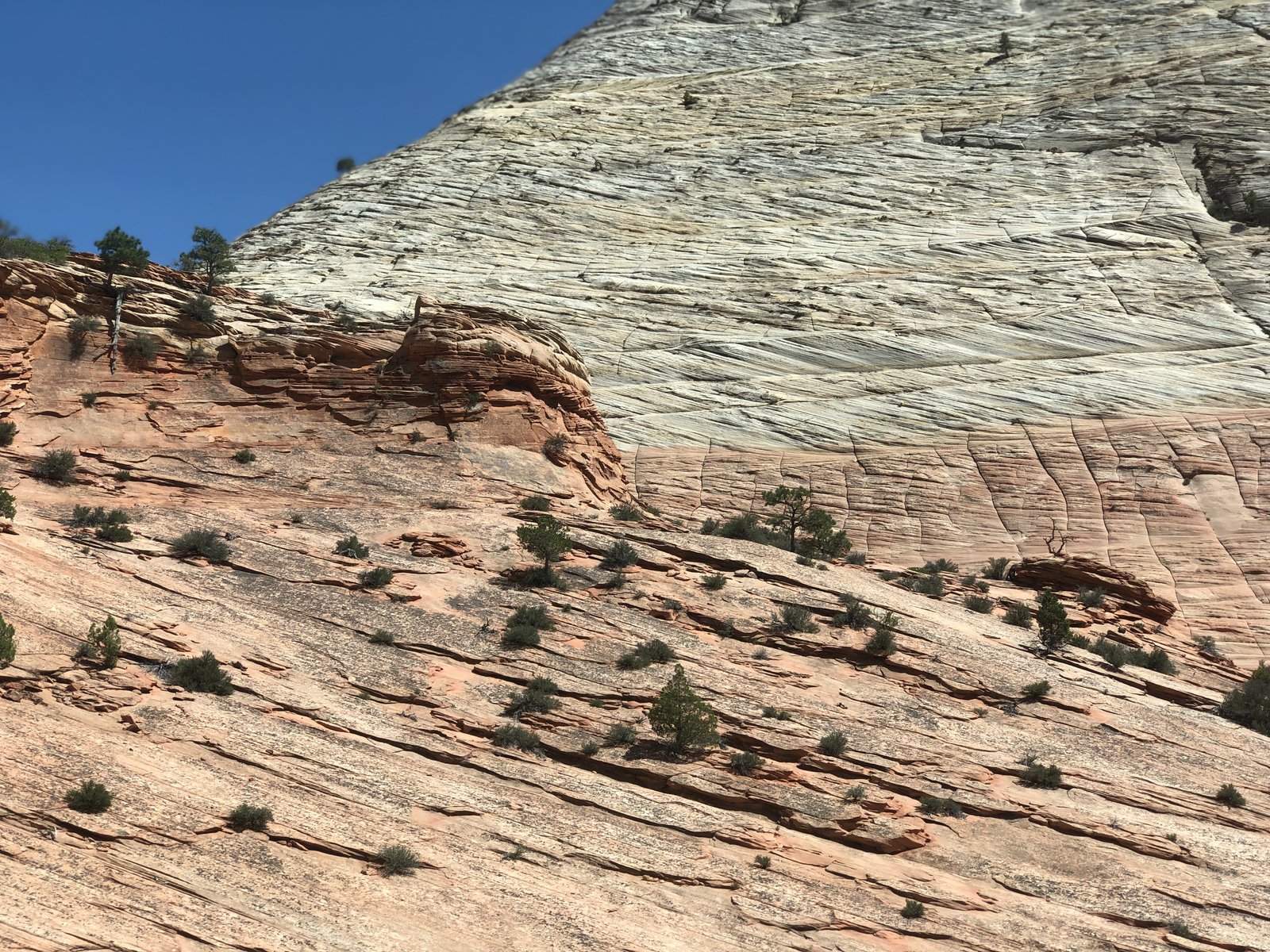 Zion National Park, Utah photo 3