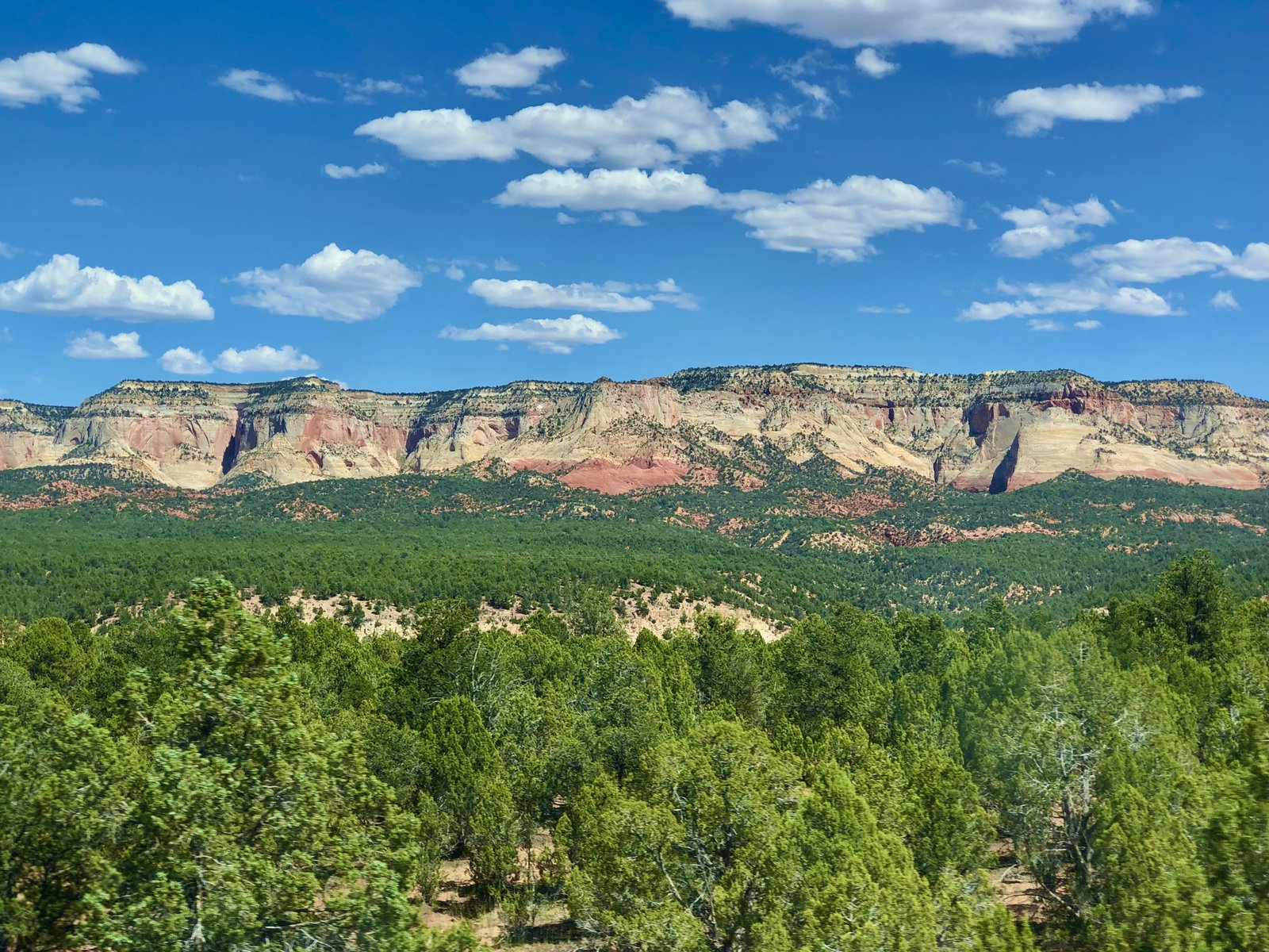 Zion National Park, Utah photo 9