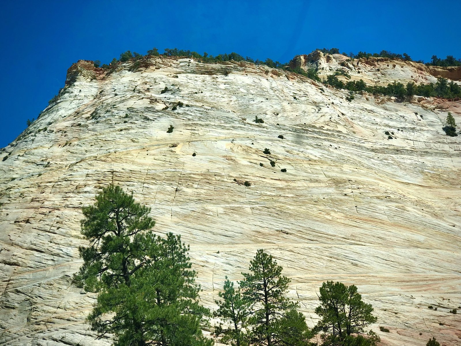 Zion National Park, Utah photo 12